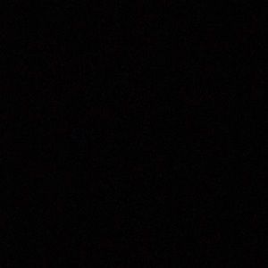 Meet your Posher, Isabella